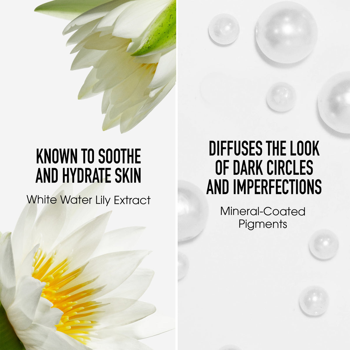 ORIGINAL Liquid Mineral Concealer