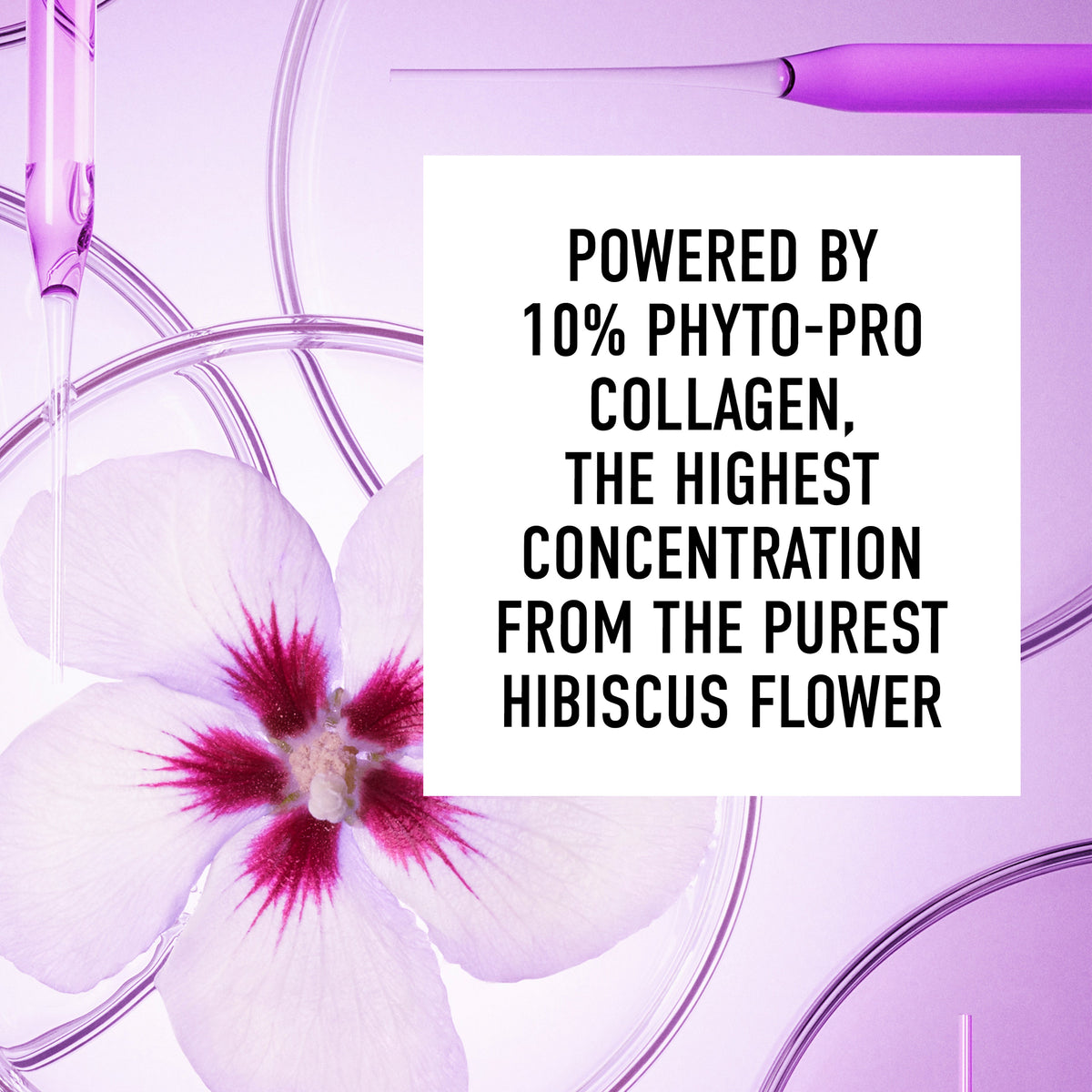 AGELESS 10% Phyto ProCollagen Firming Anti-Age Cream